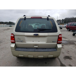 2010 FORD ESCAPE