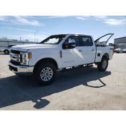 2019 FORD F250