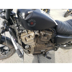2022 HARLEY-DAVIDSON XL883 N 1HD4LE226NB416973 79930083