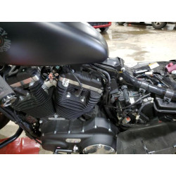 2019 HARLEY-DAVIDSON XL883 N 1HD4LE214KC417293 82436383