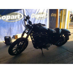 2019 HARLEY-DAVIDSON XL883 N 1HD4LE216KC427680 81629563