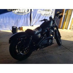2019 HARLEY-DAVIDSON XL883 N 1HD4LE216KC427680 81629563