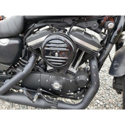 2022 HARLEY-DAVIDSON XL883 N 1HD4LE218NB408347 81000333