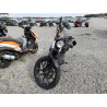 2022 HARLEY-DAVIDSON XL883 N 1HD4LE218NB408347 81000333