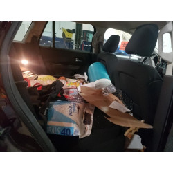 2009 FORD EDGE