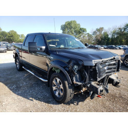 2010 FORD F-150