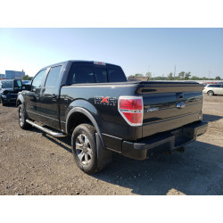 2010 FORD F-150