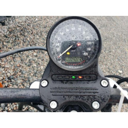 2020 HARLEY-DAVIDSON XL883 N 1HD4LE210LB438892 77194163