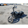 2021 HARLEY-DAVIDSON FL