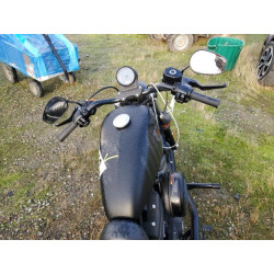 2022 HARLEY-DAVIDSON XL883 N 1HD4LE220NB411588 81769563