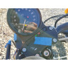 2021 HARLEY-DAVIDSON XL883 N 1HD4LE216MB405686 79933513