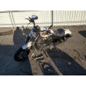 2022 HARLEY-DAVIDSON XL883 N 1HD4LE210NB404177 37412183