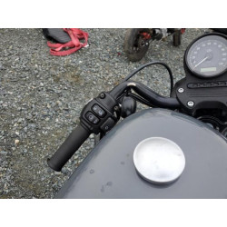 2022 HARLEY-DAVIDSON XL883 N 1HD4LE217NB410655 78900683