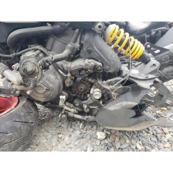 2022 DUCATI MONSTER ZDMMAMDT4NB006040 55046123