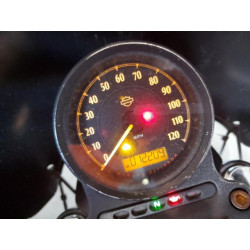 2021 HARLEY-DAVIDSON XL883 N 1HD4LE214MB412510 37906834