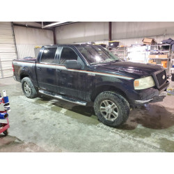 2006 FORD F-150