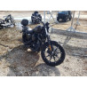 2022 HARLEY-DAVIDSON XL883 N 1HD4LE214NB403484 81290293