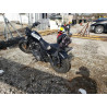 2022 HARLEY-DAVIDSON XL883 N 1HD4LE214NB403484 81290293