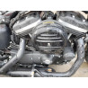 2020 HARLEY-DAVIDSON XL883 N 1HD4LE218LB414601 81819683
