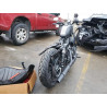 2020 HARLEY-DAVIDSON XL883 N 1HD4LE218LB414601 81819683