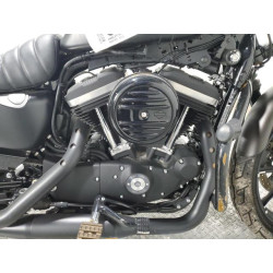 2021 HARLEY-DAVIDSON XL883 N 1HD4LE214MB413429 81068483