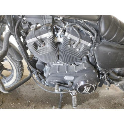 2019 HARLEY-DAVIDSON XL883 N 1HD4LE218KC416826 38403884