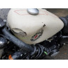 2022 HARLEY-DAVIDSON XL883 N 1HD4LE211NB406181 75172893