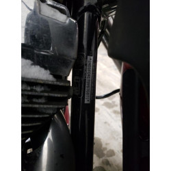 2009 HARLEY-DAVIDSON FL