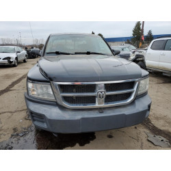 2008 DODGE DAKOTA