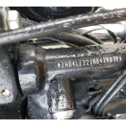 2022 HARLEY-DAVIDSON XL883 N 1HD4LE221NB414872 38917204