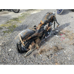 2022 HARLEY-DAVIDSON XL883 N 1HD4LE21XNB403358 81078123