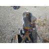2022 HARLEY-DAVIDSON XL883 N 1HD4LE21XNB403358 81078123
