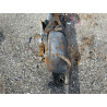 2022 HARLEY-DAVIDSON XL883 N 1HD4LE21XNB403358 81078123