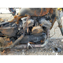 2022 HARLEY-DAVIDSON XL883 N 1HD4LE21XNB403358 81078123