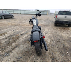 2022 HARLEY-DAVIDSON XL883 N 1HD4LE213NB412628 45342714