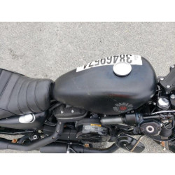 2020 HARLEY-DAVIDSON XL883 N 1HD4LE218LB429647 38469574