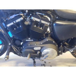 2021 HARLEY-DAVIDSON XL883 N 1HD4LE210MB408700 43613604