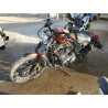 2020 HARLEY-DAVIDSON XL883 N 1HD4LE225LB402060 77873243