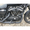 2020 HARLEY-DAVIDSON XL883 N 1HD4LE214LB410691 44538864