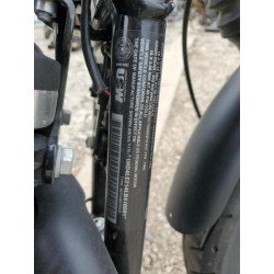2020 HARLEY-DAVIDSON XL883 N 1HD4LE214LB410691 44538864