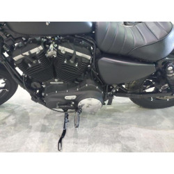 2022 HARLEY-DAVIDSON XL883 N 1HD4LE216NB409187 68431083