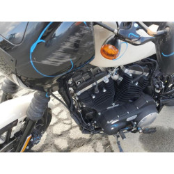 2022 HARLEY-DAVIDSON XL883 N 1HD4LE228NB404002 41792324