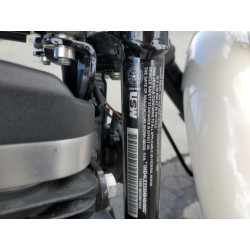 2022 HARLEY-DAVIDSON XL883 N 1HD4LE228NB404002 41792324