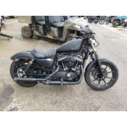 2022 HARLEY-DAVIDSON XL883 N 1HD4LE217NB405780 44589304