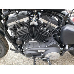 2022 HARLEY-DAVIDSON XL883 N 1HD4LE217NB405780 44589304