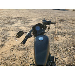 2021 HARLEY-DAVIDSON XL883 N 1HD4LE214MB401913 44300784