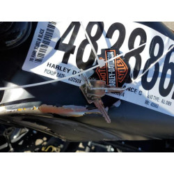 2020 HARLEY-DAVIDSON XL883 N 1HD4LE213LB435663 48288624