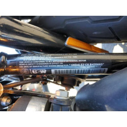 2020 HARLEY-DAVIDSON XL883 N 1HD4LE213LB435663 48288624