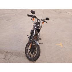 2022 HARLEY-DAVIDSON XL883 N 1HD4LE228NB401701 41473424