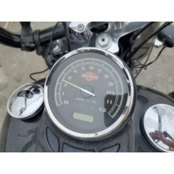 2013 HARLEY-DAVIDSON FL